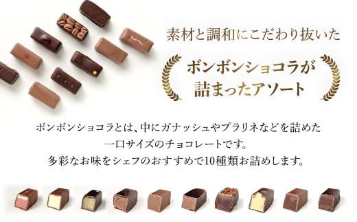 洋菓子マウンテン　コレクション / スイーツ 洋菓子 チョコレート ショコラ ショコラティエ ボンボンショコラ ガナッシュ プラリネ 一口サイズ 10個入 ギフト プレゼント 福知山市 京都府 FCE