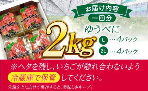 【先行予約】【3回定期便】大粒いちご L～2L ゆうべに 2kg（8pc）【熊本ベリー】 フルーツ 果物 くだもの いちご イチゴ 苺 ゆうべに 大粒いちご 国産 熊本県産 九州産  [ZER005]