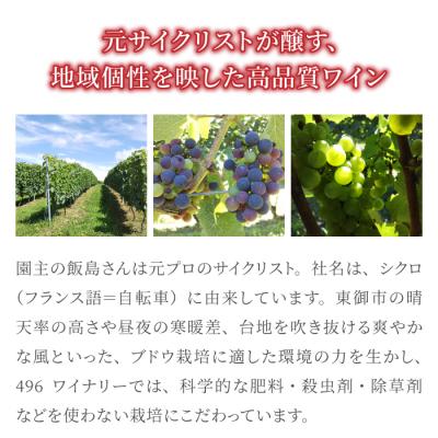 ふるさと納税 東御市 496ヴィンヤード プレミアム赤白ワインセット (赤・白 各1本) |  | 03