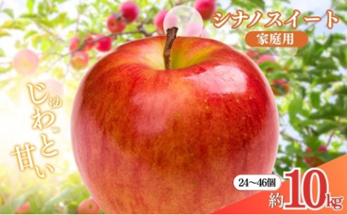 矢島農園　 長野市産 シナノスイート 家庭用 10kg(24～46玉)サイズふぞろい【2026年10月下旬頃発送予定】 |  りんご フルーツ 果物 人気 おすすめ ギフト プレゼント 送料無料 長野県 長野市 信州 信濃 ふるさと納税