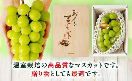 【先行受付】温室シャインマスカット 1房化粧箱入り(680g以上) | マスカット ハウス ぶどう ブドウ 葡萄 果物 フルーツ 人気 香川 香川県 三木町 種なし 皮ごと食べられる ジューシー 化粧