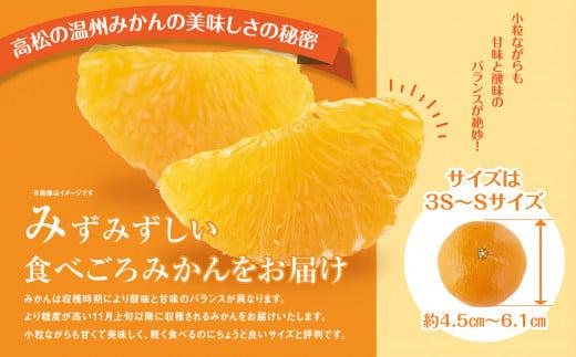 【先行予約】瀬戸内温州みかん　小粒サイズ　約5kg【2024年10月下旬～2025年1月下旬配送】