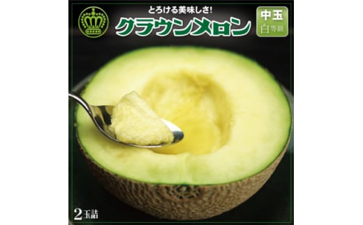 ＜通年出荷＞クラウンメロン(白等級)中玉　2玉詰【1104742】