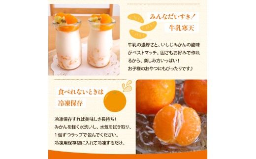 【先行受付】【2026年12月～発送】 倉橋ミカン食べてクレ園 いしじみかん 約5kg / 贈答用 甘い 完熟 オレンジ ワックス不使用 防腐剤不使用 温州ミカン 果実 倉橋島 広島県 呉市 ku15