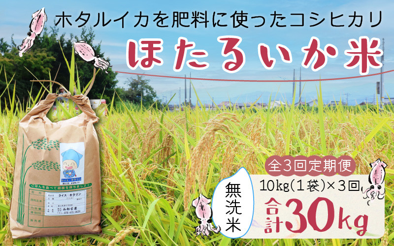 
                  ほたるいか米（無洗米10kg）×3回 計30kg【3ヶ月定期便】訳あり 米 コシヒカリ こしひかり 頒布会 時短 節水 産直 ほたるいか ホタルイカ お米 ブランド米 富山 滑川　農家直送 お米 おこめ こしひかり ホタルイカ 蛍烏賊 富山県 滑川市 コンシェルジュ 訳あり　kome 10キロ ごはん おにぎり 簡単 手軽
                