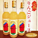 【ふるさと納税】【数量限定】【先行予約】完熟りんごジュース（720ml×3本） ※2024年11月上旬～2025年6月下旬頃に順次発送予定