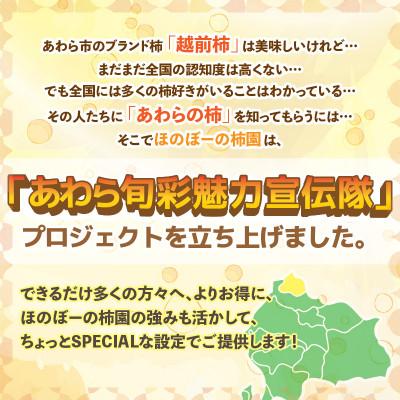 ふるさと納税 あわら市 【訳あり】 甘みすっきり!あわらのたねなし柿 約8kg(32個〜40個)(ご家庭用) |  | 02