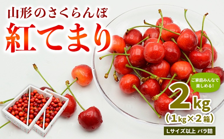 
            【ご家庭みんなで楽しめる！2kg】山形のさくらんぼ 紅てまり 2kg Lサイズ以上 バラ詰 (1kg×2箱) 【令和8年産先行予約】FS25-009
          