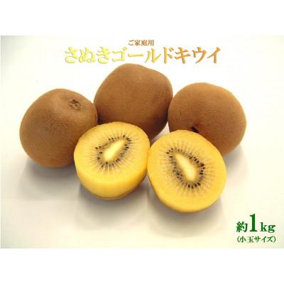 ふるさと納税 観音寺市 ご家庭用さぬきゴールドキウイ　約1kg