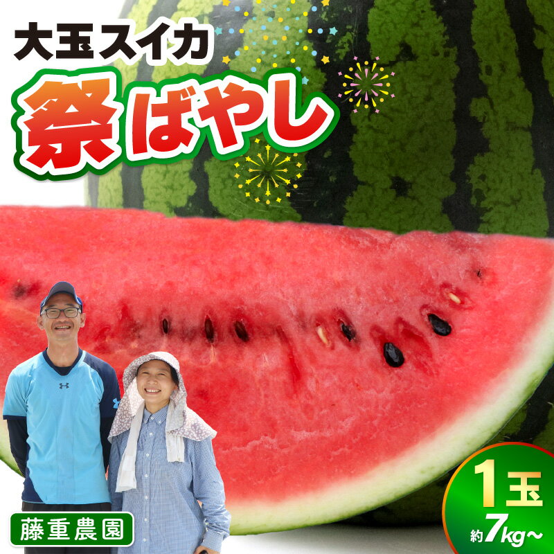 【ふるさと納税】【先行予約】藤重農園の大玉スイカ『祭ばやし』 1玉（7kg～） ≪満足度高い大きなスイカ≫／ 果物 フルーツ 西瓜 すいか ギフト 農家直送 美肌 ビタミン豊富 福井県 あわら市 なんとリコピンはトマトの1.5倍！ ※2026年6月中旬以降順次発送