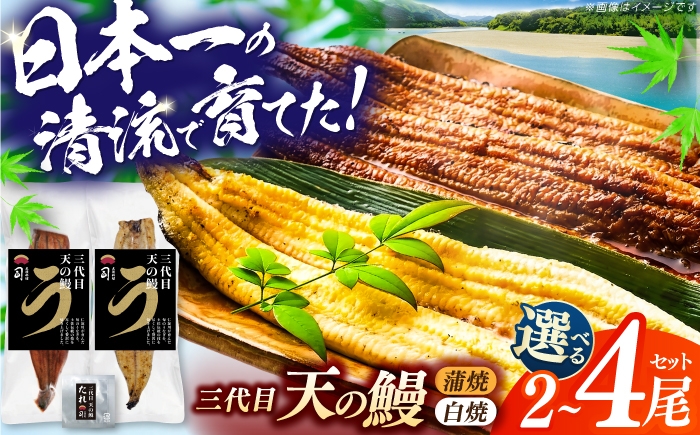 
                  【チョイス限定】土佐料理司 三代目天の鰻蒲焼1尾＆白焼1尾セット (高知市春野町産) / 鰻 うなぎ ウナギ 蒲焼 うな重 国産 高知市 【株式会社土佐料理司】 [ATAD088]
                