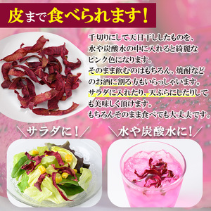 No.248 《数量・期間限定》鹿児島県産！ドラゴンフルーツ(1.2kg・3個～6個) 国産 鹿児島 日置市 産地直送 スイーツ デザート 果実 果物 くだもの フルーツ 栽培期間中 農薬不使用 無農