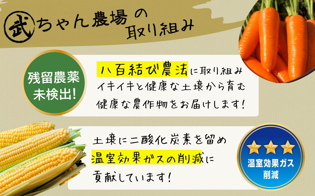甘さと栄養で体も笑う武ちゃん農場の“ハッピーキャロット 4㎏　H095-021
