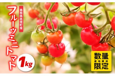 数量限定!!うす皮フルーツミニトマト「華の妖精」1kg