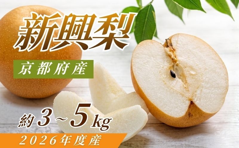 
                  【先行予約】2026年度産 新興梨 約3～5kg（5玉～14玉入り） 京都府産 梨 和梨 なし ナシ フルーツ 旬の果物 くだもの 梨 秋 秋の味覚 京都 京丹後産 直送 京都府 JA JA京都
                