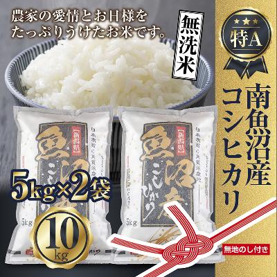ふるさと納税 南魚沼市 【無地のし】無洗米 南魚沼産コシヒカリ 5kg×2袋 10kg 精米済み(美味しい炊き方ガイド付き)