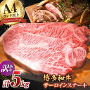 【ふるさと納税】【訳あり】博多和牛 サーロイン ステーキ セット 5kg（250g×20枚）広川町/株式会社MEAT PLUS[AFBO013]