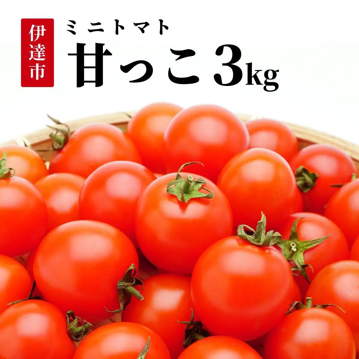 ＜先行予約＞北海道伊達産 ミニトマト 甘っこ 3kg【55250940】