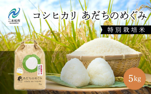 令和7年産 コシヒカリ 精米 5kg 特別栽培米 コシヒカリ 米 白米 ふっくら 甘い 人気 ランキング おすすめ ギフト 故郷 ふるさと 納税 福島 ふくしま 二本松市 送料無料【JAふくしま未来 こらんしょ市】