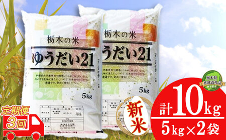 【定期便3回】人気返礼品！コンクールで受賞歴あり ゆうだい21 10kg（5kg×2袋） | 白米 精米 お米 ブランド米 栃木県 特産 品栃木県 共通返礼品 栃木県産 下野市 送料無料