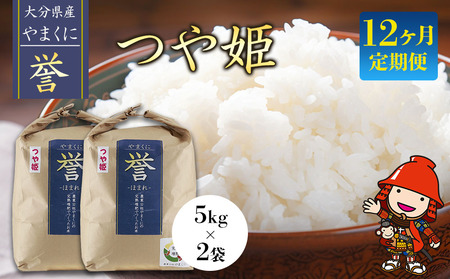 【先行予約】【12ヶ月定期便】九州米・食味コンクール最優秀賞受賞 令和6年産 大分県中津産やまくに誉 つや姫 5kg×2袋 (毎月1回)   お米 精米 白米 九州産 熨斗対応可 お米 おいしい米 高評価米 中津市米 大分県米 九州米