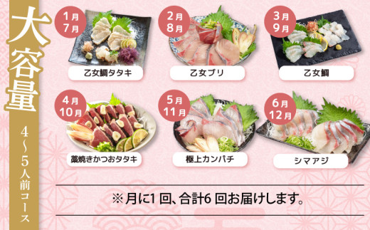 刺身 定期便 6ヶ月 小島水産 がお届けする！ 美味しい お刺身 大容量 コース ( 鮮魚 下処理済 )  産地直送 半年 新鮮 鮮魚 ( 6回 お楽しみ 定期便 お刺身 かつお タタキ カツオ 鰹 