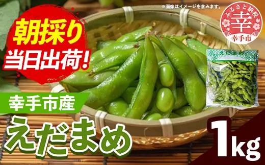 【きあり農園】2026年度 幸手市産 枝豆 1kg - 朝採り えだ豆 エダマメ えだまめ 産地直送