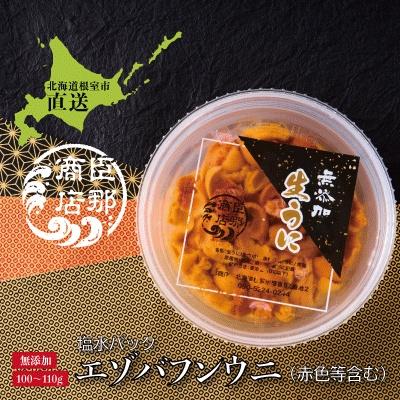 ふるさと納税 根室市 エゾバフンウニ(赤色等含む)塩水パック100〜110g×1パック A-22001