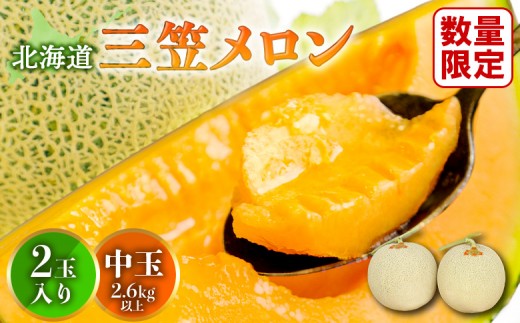 とろける食感と甘い香り北海道三笠メロン2玉入（2.8kg）