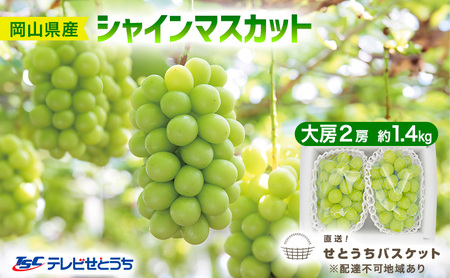 ぶどう 2026年 先行予約 シャインマスカット 大房 2房 約1.4kg  岡山県産 シャインマスカット