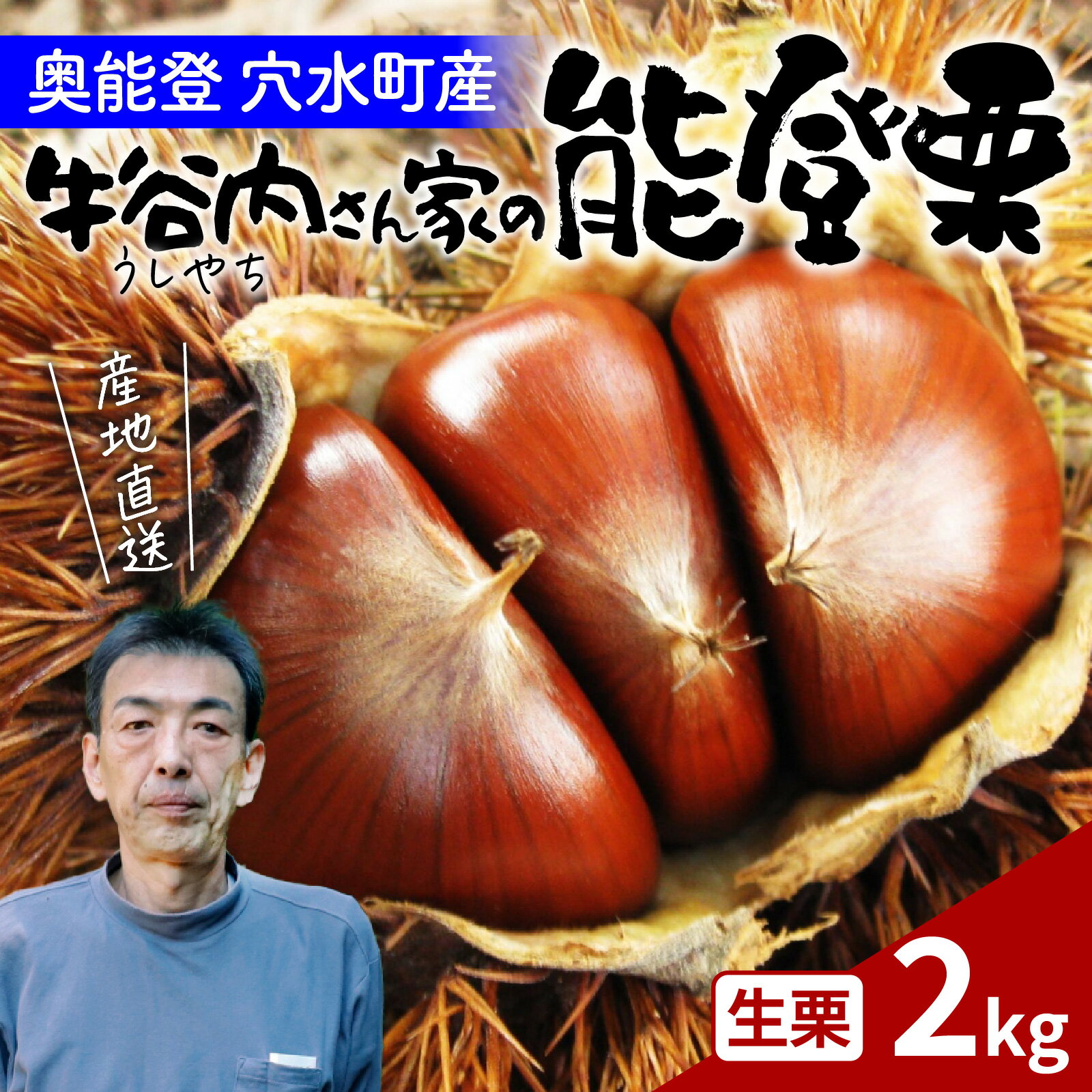 【ふるさと納税】【先行予約】牛谷内農園の能登栗～低温熟成させたあま～い能登栗～【2025年9月中旬より順次発送】/ 能登半島 奥能登 くり 生栗 マロン 和栗 焼き栗 栗ごはん 焼き栗 国産 果物 送料無料