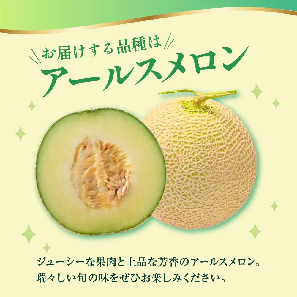 先行予約 令和8年産 温室メロン マスクメロン 2玉 約3～4kg