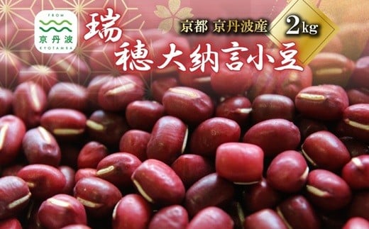 瑞穂大納言小豆 2kg 【 地域限定 ブランド 小豆 あずき あんこ 赤飯 ぜんざい 京都 京丹波町産 国産 丹波 ご当地グルメ お取り寄せ 】 [032KK001]