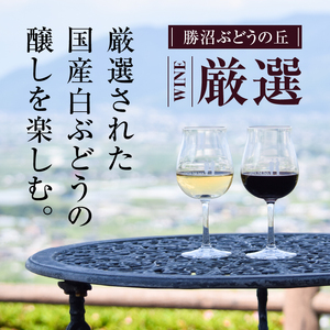 勝沼ぶどうの丘推奨 白ワイン2本セット B2-614【甲州 ワイン お酒 白ワイン 甲州ワイン 日本ワイン お酒 人気 推奨 おまかせ ワイン フルボトル ワイン パーティー ワイン 家庭用 ワイン 