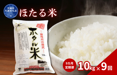 【9カ月定期便】ほたる米 10kg（茨城県共通返礼品・城里町産） / 米 こめ コメ お米 おこめ ほたる米 白米 精米 ごはん ご飯 令和7年産 10kg 定期便 茨城県 城里町 利根町