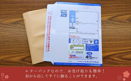 ミニ畳 大小セット畳 各2枚 インテリア | 新潟県 出雲崎町