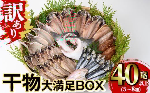 訳あり 干物大満足BOX(40尾以上・5～8種) 干物 丸干し 開き 魚 冷凍 訳あり 小分け 簡易包装 詰め合わせ セット みりん干し あじ さば かます 【opaa001】【やまろ渡邉】