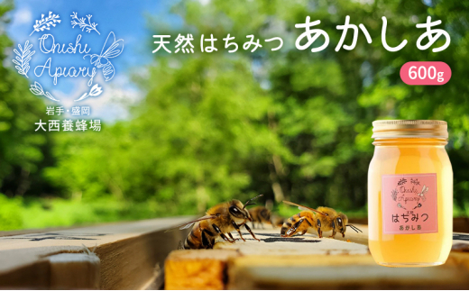 蜂蜜 天然 あかしあ 600g アカシア 非加熱 盛岡産蜂蜜 はちみつ ハチミツ hatimitu hachimitsu ハニー hani- honey 養蜂場 養蜂場はちみつ こだわり 国産 岩手県 盛岡市 東北 岩手 盛岡 大西養蜂場