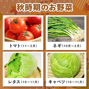 野菜セット 季節の奥久慈野菜 詰め合せセット（春、夏、秋、冬） 特産 詰め合わせ 旬 直送 【野菜セット】【ho1483】