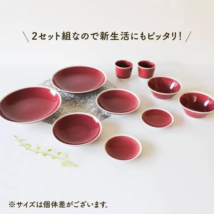 【波佐見焼】シャイニーカラー ワイン色（トルマリン）10点セット 皿 ボウル カップ 【陶芸ゆたか】 [VA56]  波佐見焼