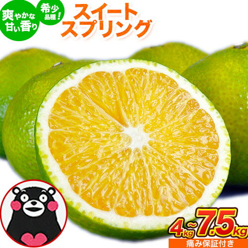 【ふるさと納税】スイートスプリング 4kg 7.5kg 熊本県産 送料無料 旬 の みかん 熊本産 取り寄せ (3L〜Sサイズ/3L-S混合) 《12月下旬～1月下旬出荷》熊本県 津奈木町 柑橘 希少品種 スイートスプリング 柑橘 果物 スイスプ 旬 の みかん 柑橘 温州みかん