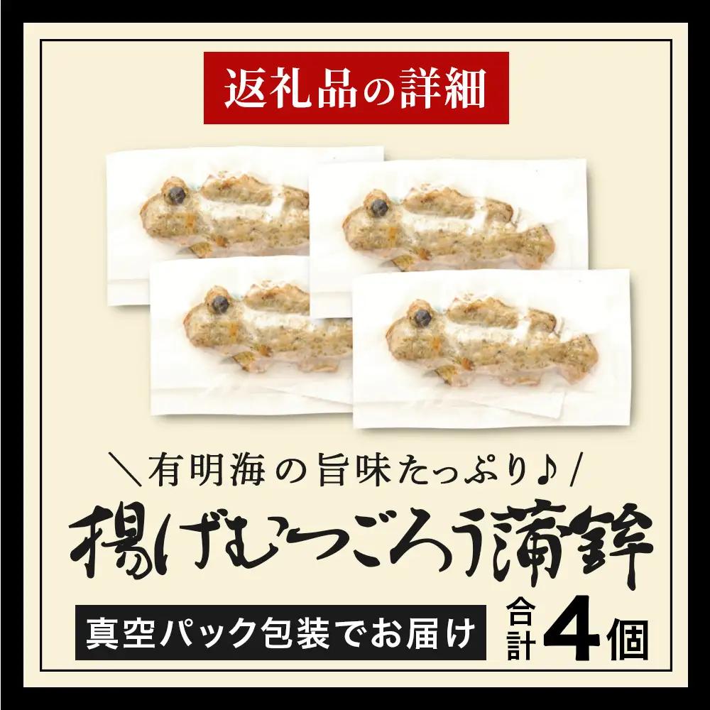 揚げむつごろう蒲鉾 4個（個包装 真空パック）佐賀県 鹿島市 送料無料 A-252