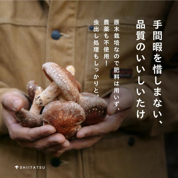 低温乾燥シイタケ「しいたろう」105g（35g×3袋） 