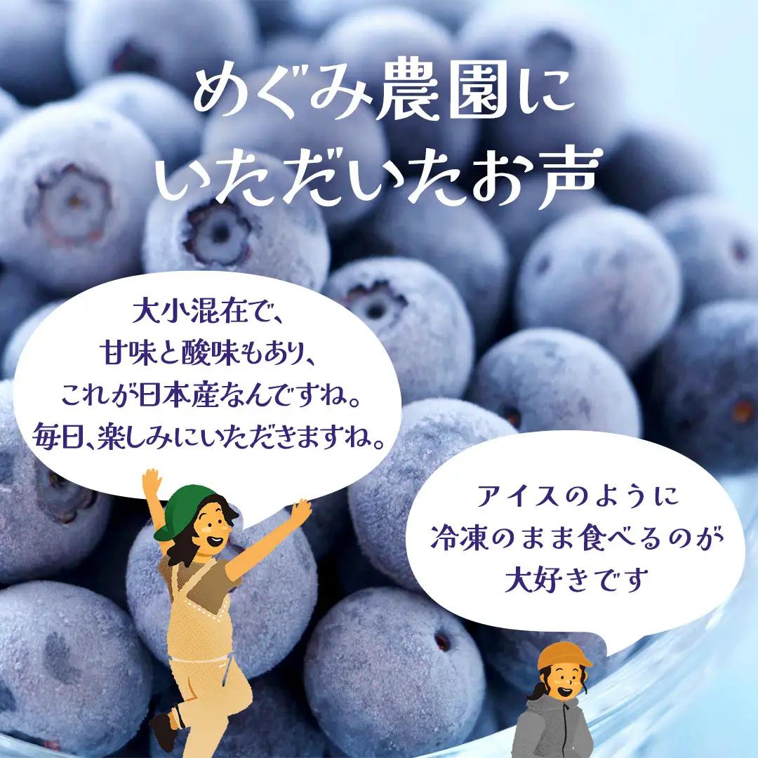 【 最短 7日以内 発送 】 冷凍 ブルーベリー 無選別（ 小玉 ～ 大玉 ） 1kg 数量限定 国産 フルーツ スムージー 果物 くだもの 農家直送 スイーツ アイス ノーザンハイブッシュ系 ミック
