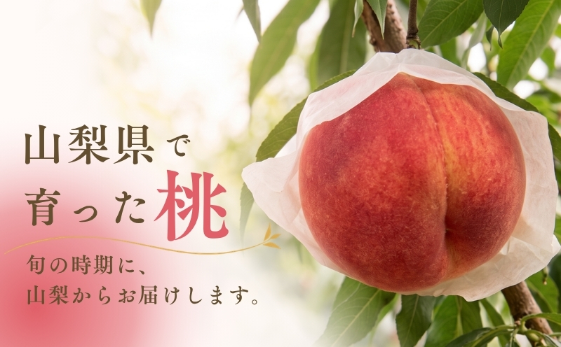 【2027年発送！ 先行予約】 山梨県産 桃 約２㎏（6～8玉） もも モモ momo 山梨 デザート スイーツ peach