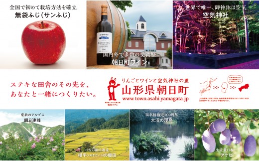 朝日町産 ぶどう 「富士の輝」700ｇ特秀品 2026年産 農家直送 山形県 朝日町産 山形産 高級 ブドウ 葡萄 グレープ 果物 フルーツ 秋 送料無料