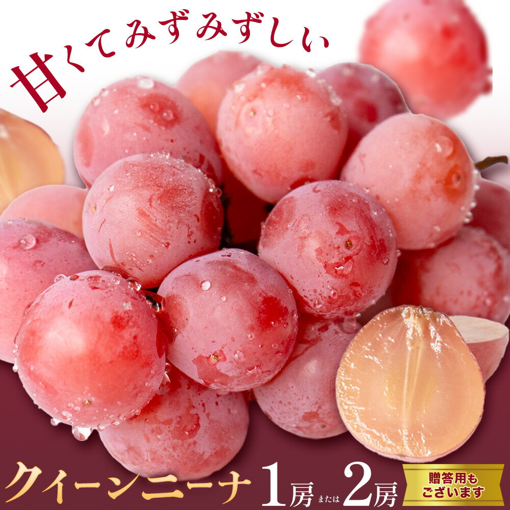 【ふるさと納税】ぶどう クイーンニーナ 1房 2房 《9月上旬-9月下旬頃出荷》 葡萄 ブドウ 大粒 種なし フルーツ 果物 お取り寄せ 国産 茨城県 結城市 會澤ぶどう・キウイフルーツ園　【配送不可地域あり】(離島)