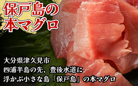 まぐろ中トロ切落し 1パック（100g）　| 津久見市