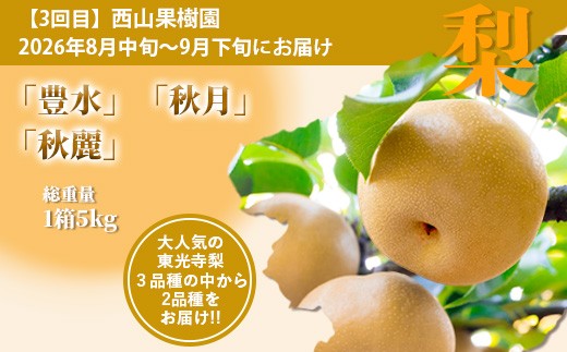 【フルーツ 定期便 3回】2026年発送 多良木町産 いちご・メロン・梨  各2種 食べ比べ