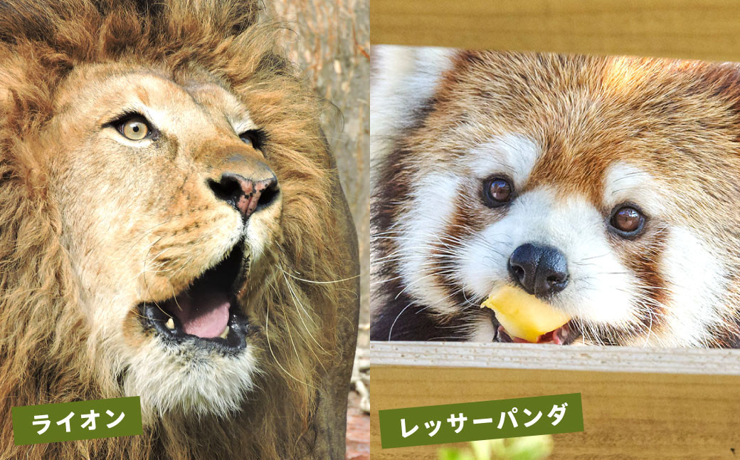 到津の森公園の動物たちに地元農産物を寄贈【思いやり型返礼品】